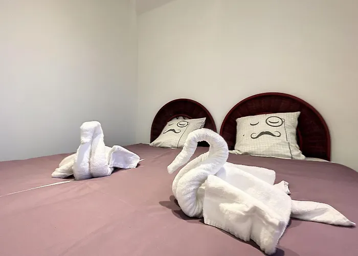 De Vue 3 Pieces Climatise & Wifi 4 A 6 Personnes Appartement Pietrosella